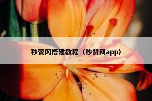 秒赞网搭建教程（秒赞网app） 第1张