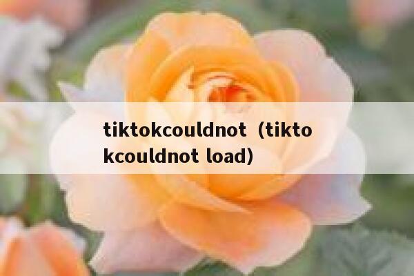 tiktokcouldnot（tiktokcouldnot load） 第1张