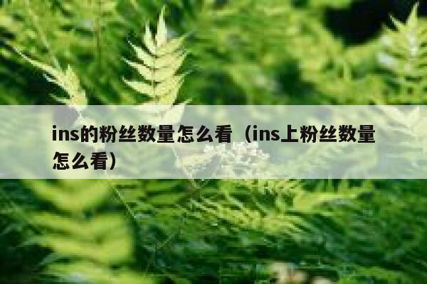 ins的粉丝数量怎么看（ins上粉丝数量怎么看） 第1张
