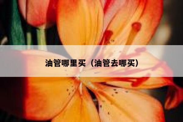 油管哪里买（油管去哪买） 第1张