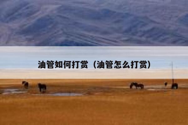 油管如何打赏（油管怎么打赏） 第1张