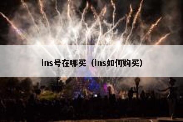 ins号在哪买（ins如何购买） 第1张