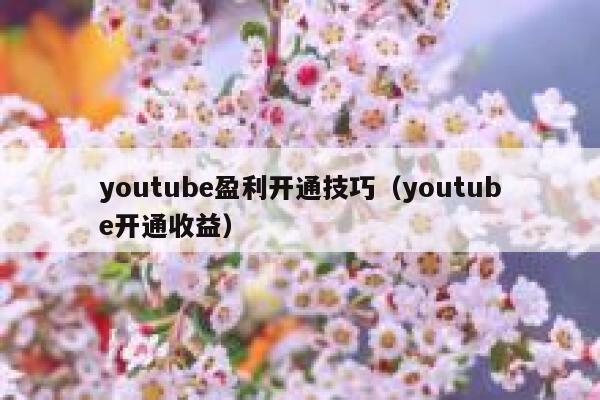youtube盈利开通技巧（youtube开通收益） 第1张