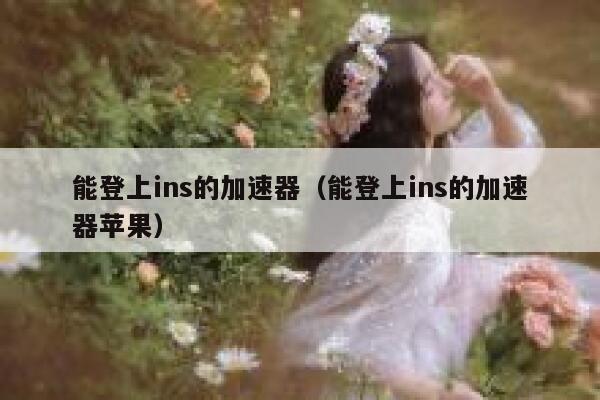 能登上ins的加速器（能登上ins的加速器苹果） 第1张