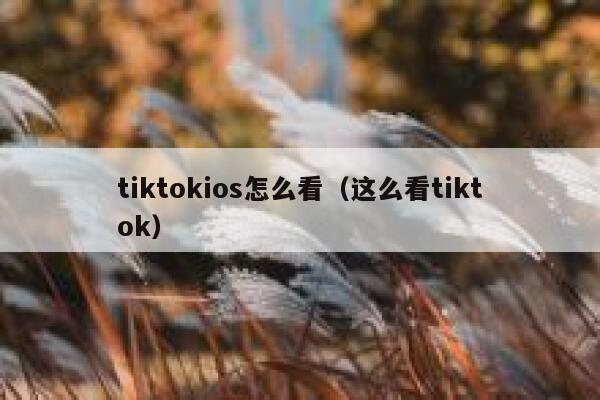 tiktokios怎么看（这么看tiktok） 第1张