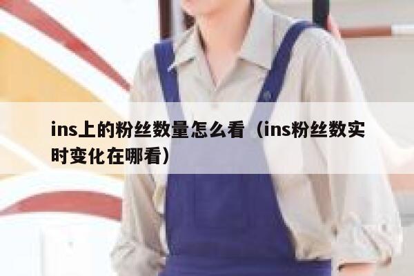 ins上的粉丝数量怎么看（ins粉丝数实时变化在哪看） 第1张