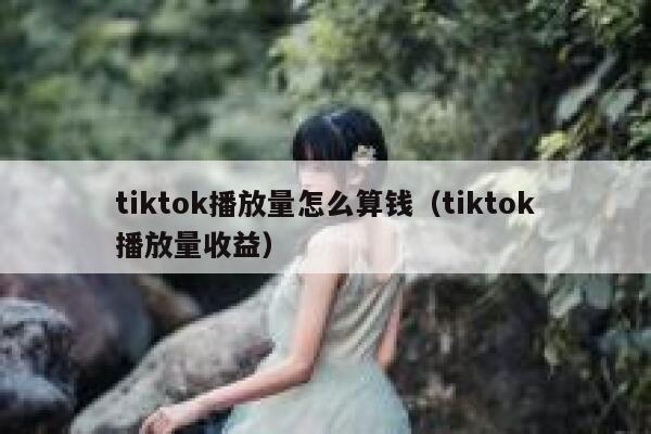 tiktok播放量怎么算钱（tiktok播放量收益） 第1张