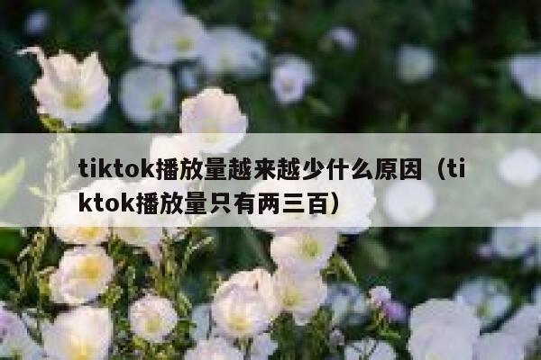 tiktok播放量越来越少什么原因（tiktok播放量只有两三百） 第1张