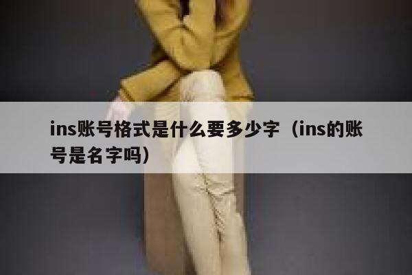 ins账号格式是什么要多少字（ins的账号是名字吗） 第1张