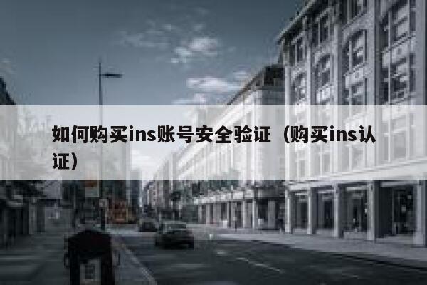 如何购买ins账号安全验证（购买ins认证） 第1张