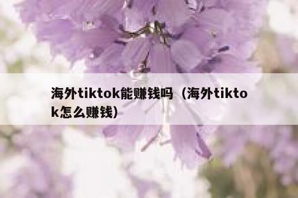 海外tiktok能赚钱吗（海外tiktok怎么赚钱） 第1张