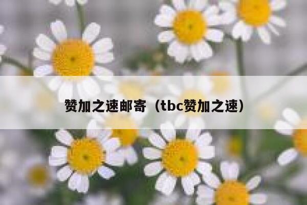 赞加之速邮寄（tbc赞加之速） 第1张