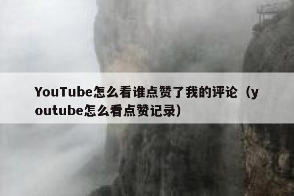 YouTube怎么看谁点赞了我的评论（youtube怎么看点赞记录） 第1张