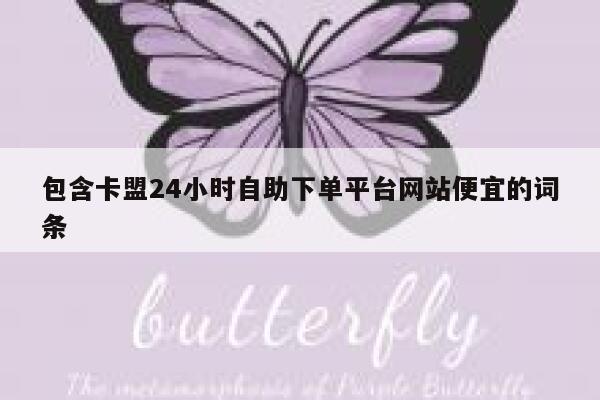 包含卡盟24小时自助下单平台网站便宜的词条 第1张