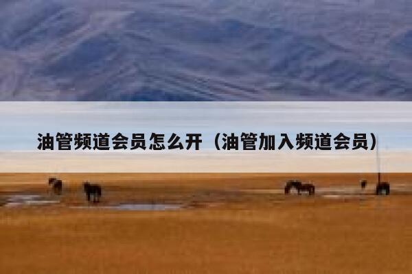 油管频道会员怎么开（油管加入频道会员） 第1张