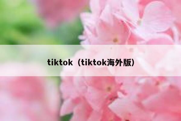 tiktok（tiktok海外版） 第1张