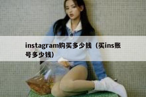 instagram购买多少钱（买ins账号多少钱） 第1张