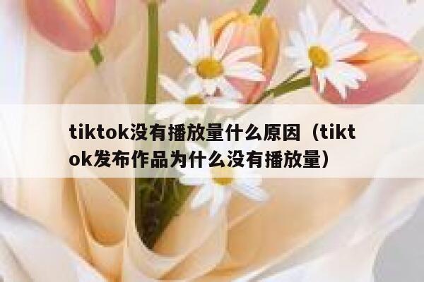 tiktok没有播放量什么原因（tiktok发布作品为什么没有播放量） 第1张
