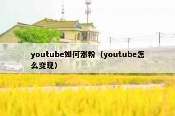 youtube如何涨粉（youtube怎么变现） 第1张