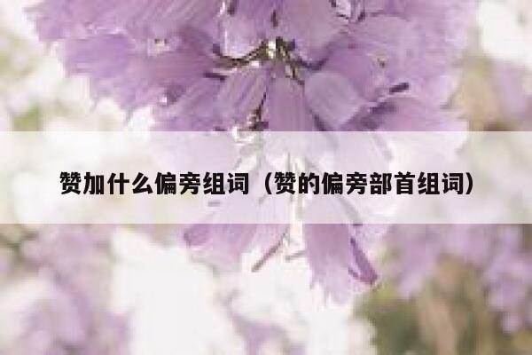 赞加什么偏旁组词（赞的偏旁部首组词） 第1张