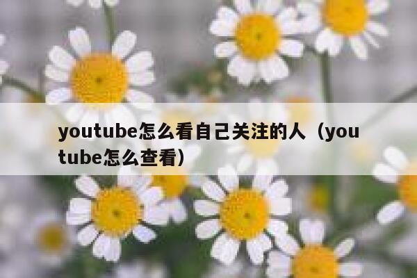 youtube怎么看自己关注的人（youtube怎么查看） 第1张