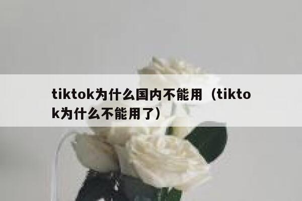 tiktok为什么国内不能用（tiktok为什么不能用了） 第1张