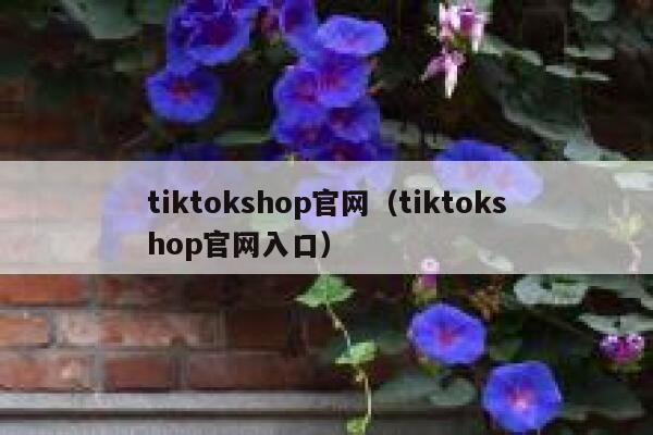 tiktokshop官网（tiktokshop官网入口） 第1张