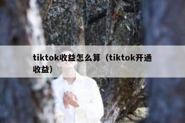 tiktok收益怎么算（tiktok开通收益） 第1张
