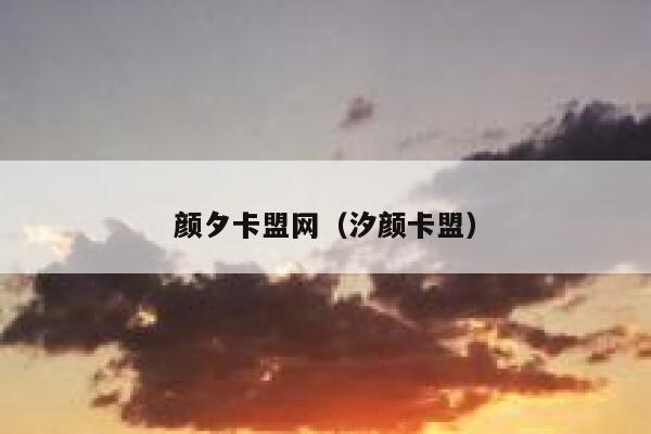 颜夕卡盟网（汐颜卡盟） 第1张