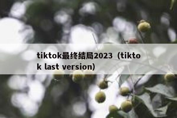 tiktok最终结局2023（tiktok last version） 第1张