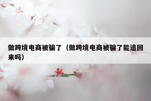做跨境电商被骗了（做跨境电商被骗了能追回来吗） 第1张