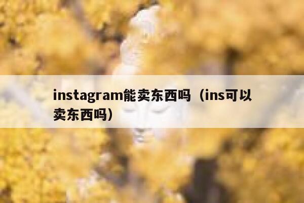 instagram能卖东西吗（ins可以卖东西吗） 第1张