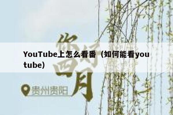 YouTube上怎么看番（如何能看youtube） 第1张