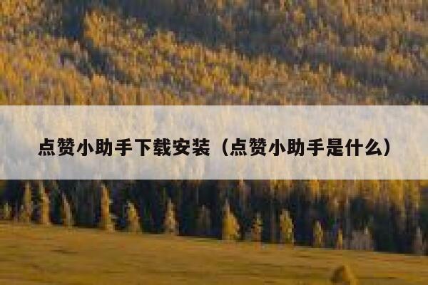 点赞小助手下载安装（点赞小助手是什么） 第1张