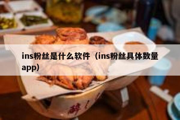 ins粉丝是什么软件（ins粉丝具体数量app） 第1张