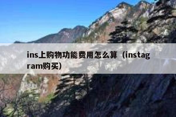 ins上购物功能费用怎么算（instagram购买） 第1张