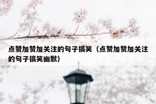 点赞加赞加关注的句子搞笑（点赞加赞加关注的句子搞笑幽默） 第1张