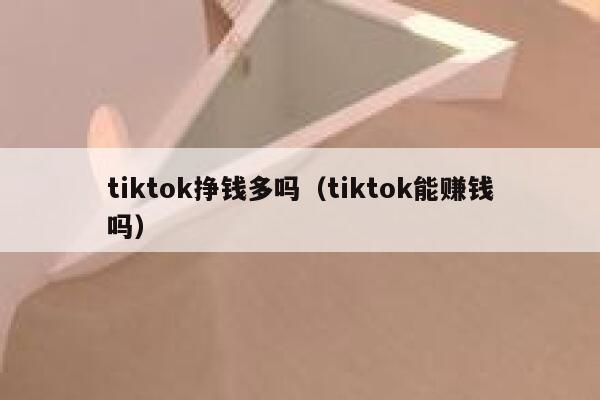 tiktok挣钱多吗（tiktok能赚钱吗） 第1张