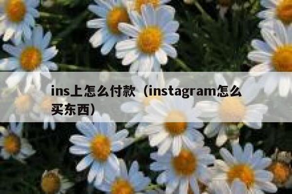 ins上怎么付款（instagram怎么买东西） 第1张