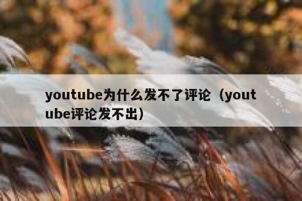 youtube为什么发不了评论（youtube评论发不出） 第1张