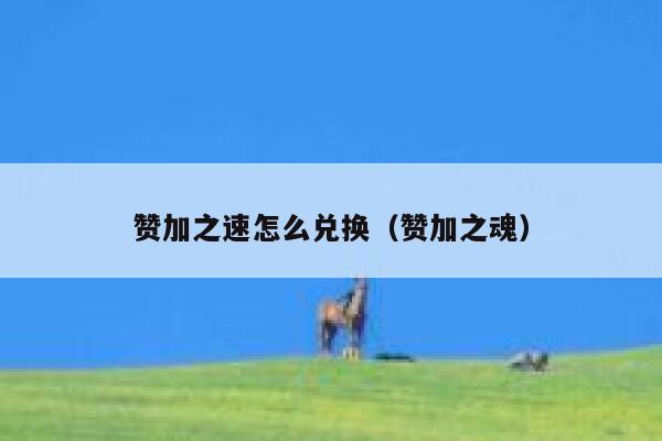 赞加之速怎么兑换（赞加之魂） 第1张