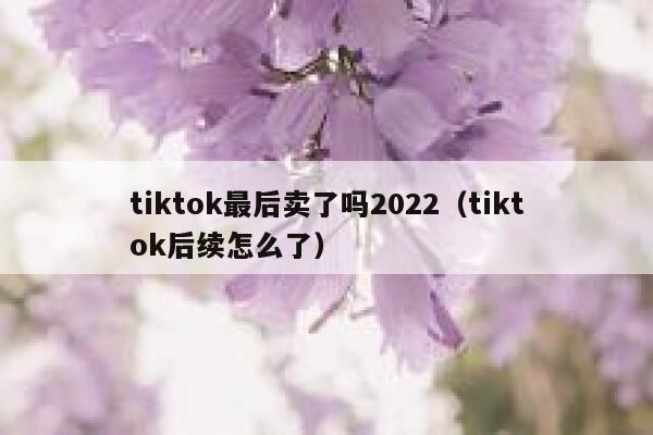tiktok最后卖了吗2022（tiktok后续怎么了） 第1张