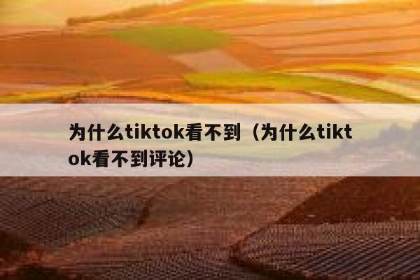 为什么tiktok看不到（为什么tiktok看不到评论） 第1张