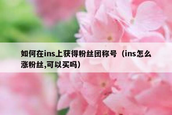 如何在ins上获得粉丝团称号（ins怎么涨粉丝,可以买吗） 第1张