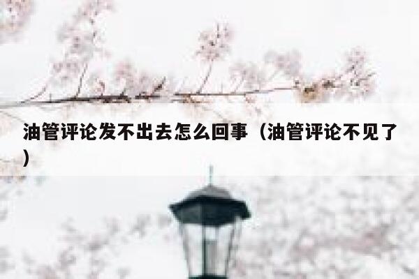 油管评论发不出去怎么回事（油管评论不见了） 第1张