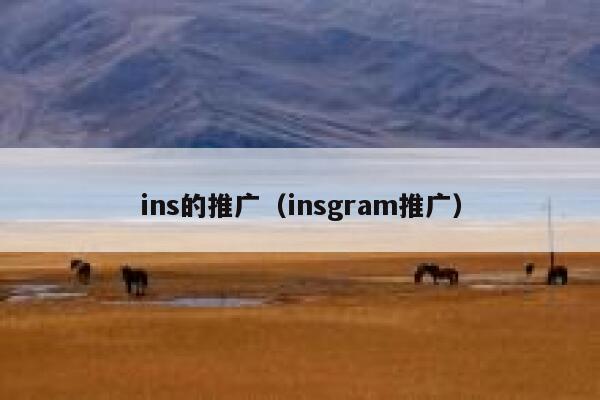 ins的推广（insgram推广） 第1张