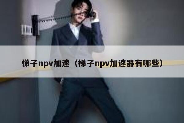 梯子npv加速（梯子npv加速器有哪些） 第1张