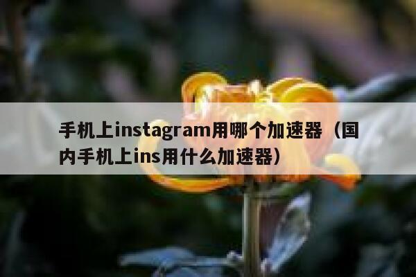 手机上instagram用哪个加速器（国内手机上ins用什么加速器） 第1张