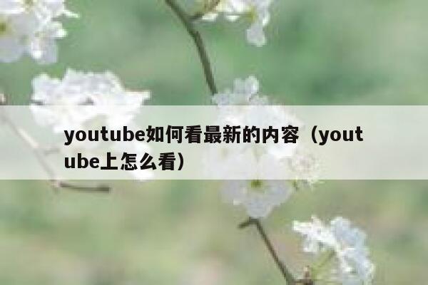 youtube如何看最新的内容（youtube上怎么看） 第1张