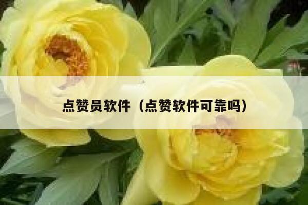 点赞员软件（点赞软件可靠吗） 第1张